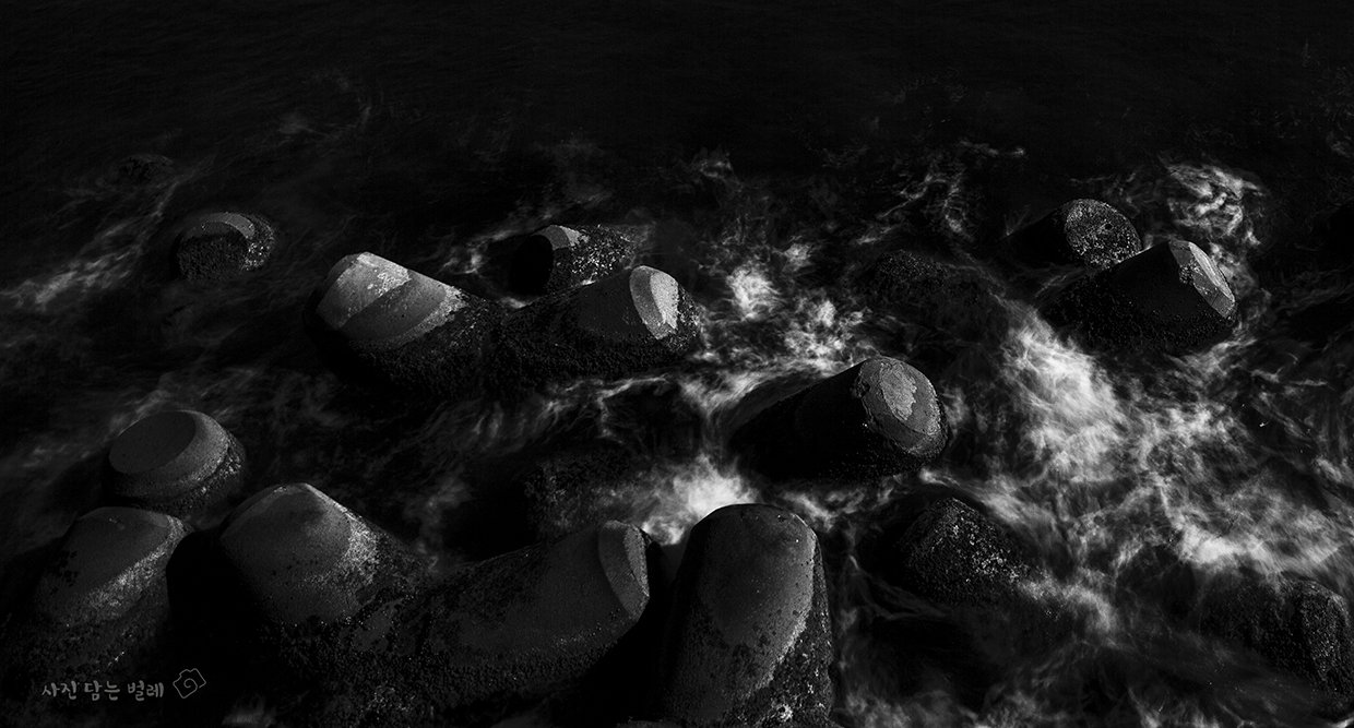 CE3A8275-21b&amp;Wframeresize.jpg : 겨울