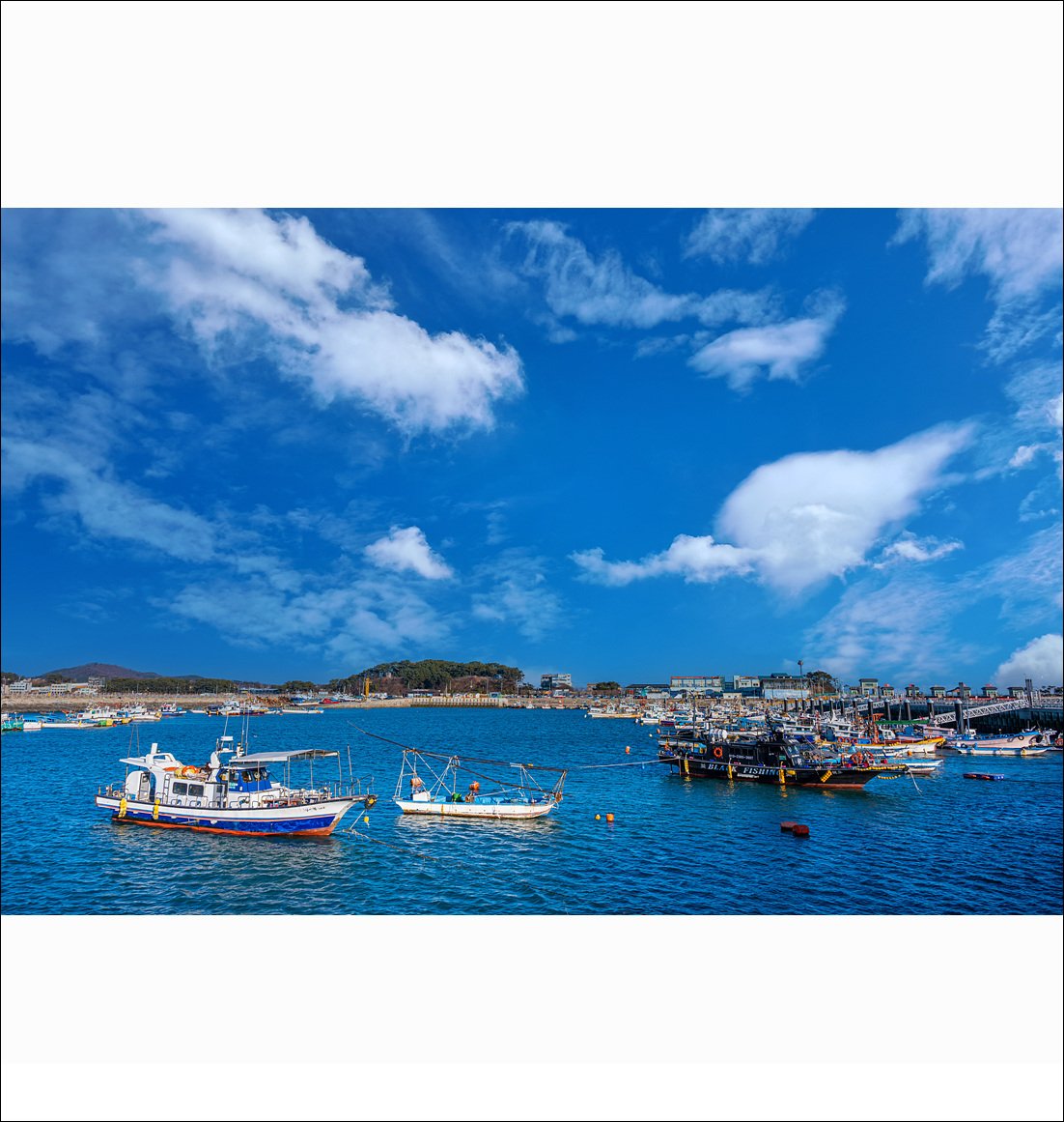 DSC_0907.jpg : 추운 날 궁평항