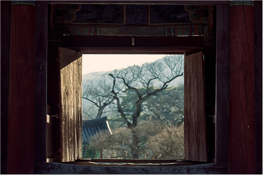 통도사-5-Web.jpg : 봄소풍-1