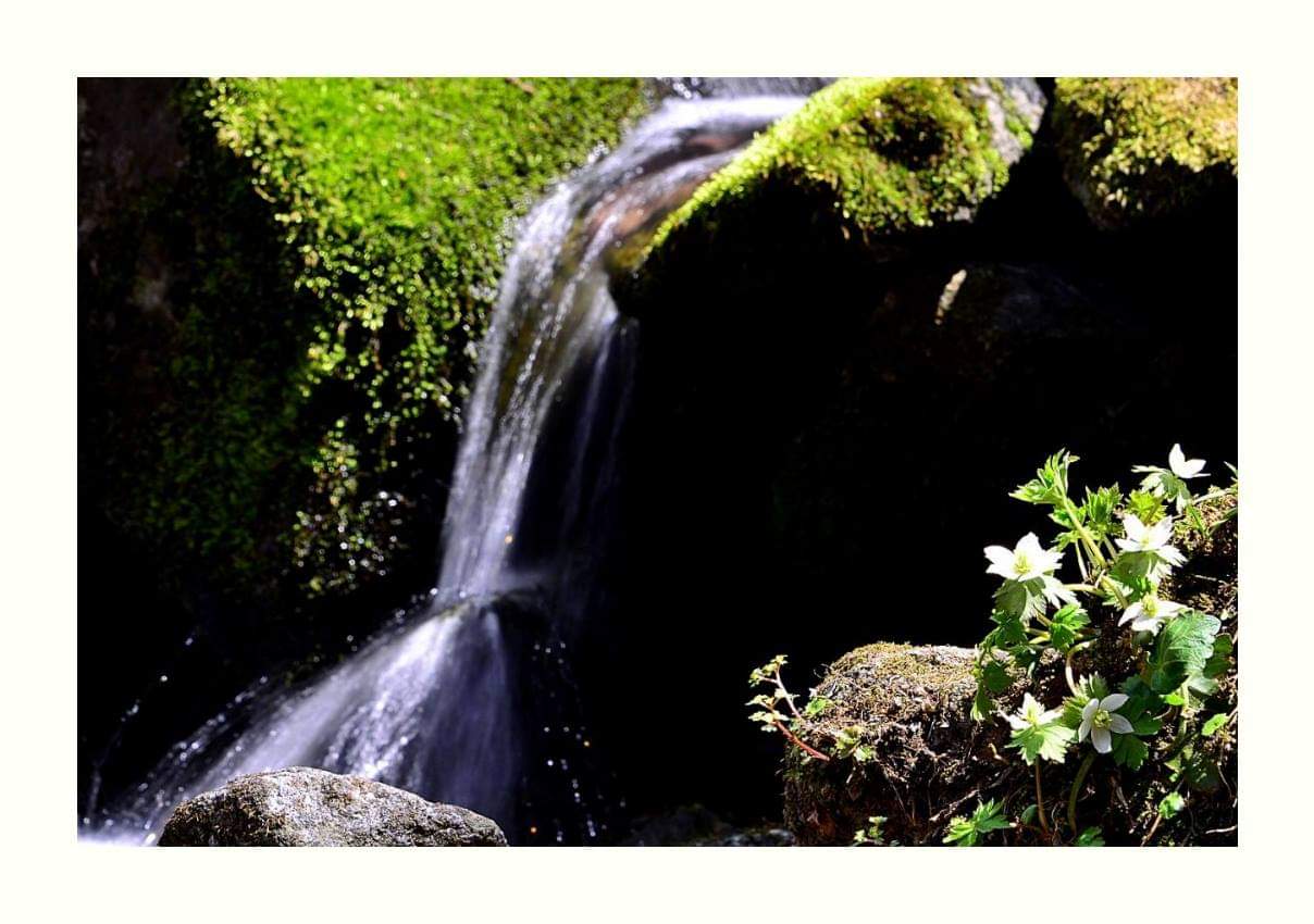 FB_IMG_1555683266476.jpg : 모데미