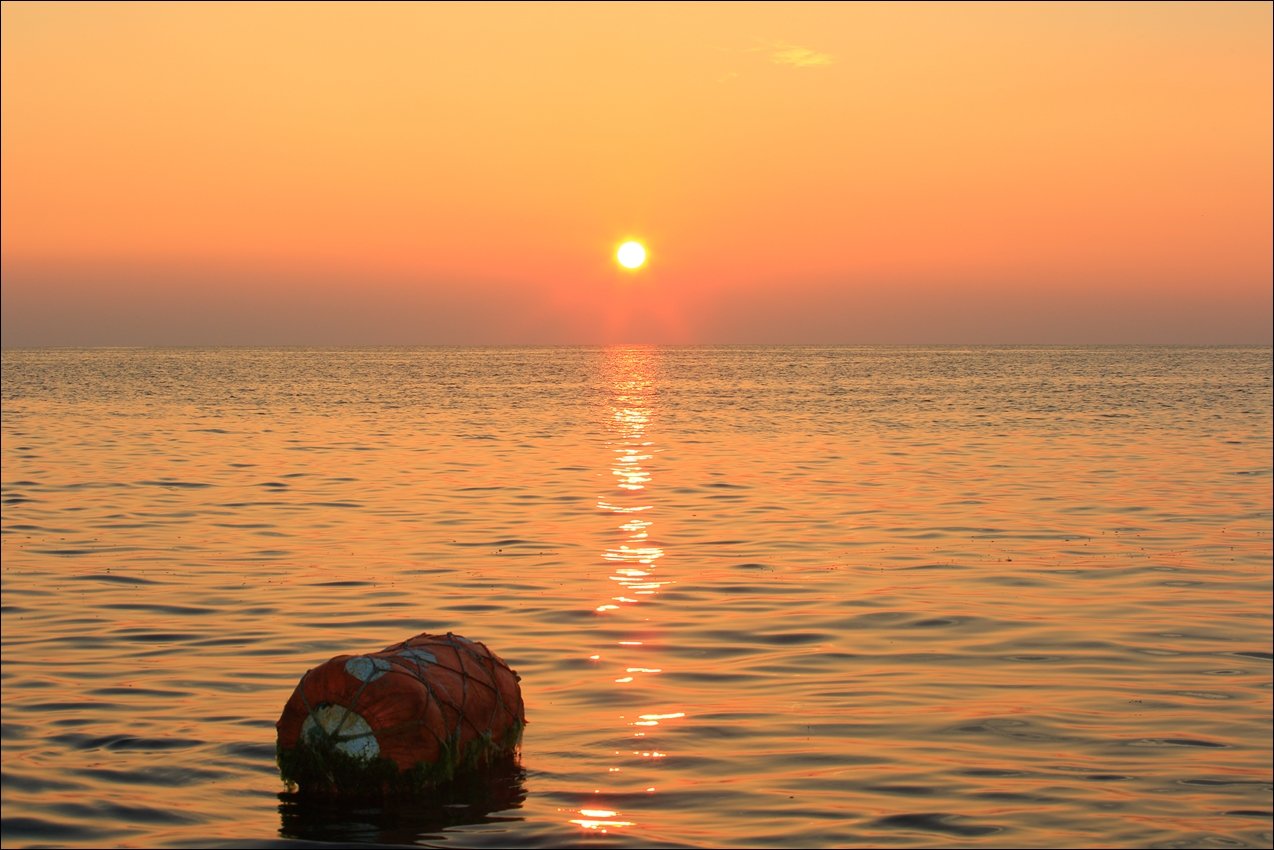 DPP_0053.JPG : 부표