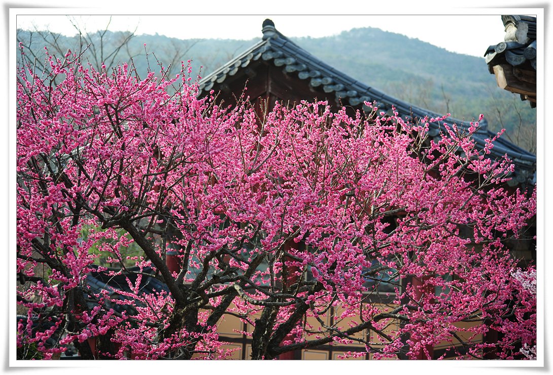 DSC_3309.jpg : 수사클 정기출사의 추억소환