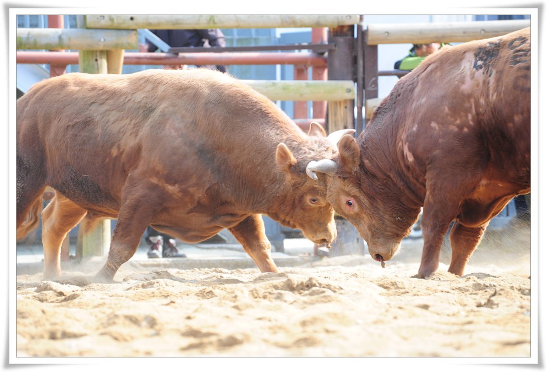 DSC_3578.jpg : 수사클 정기출사의 추억소환