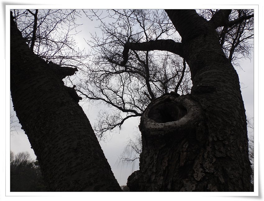 DSCN6765.jpg : 겨울의 끝자락