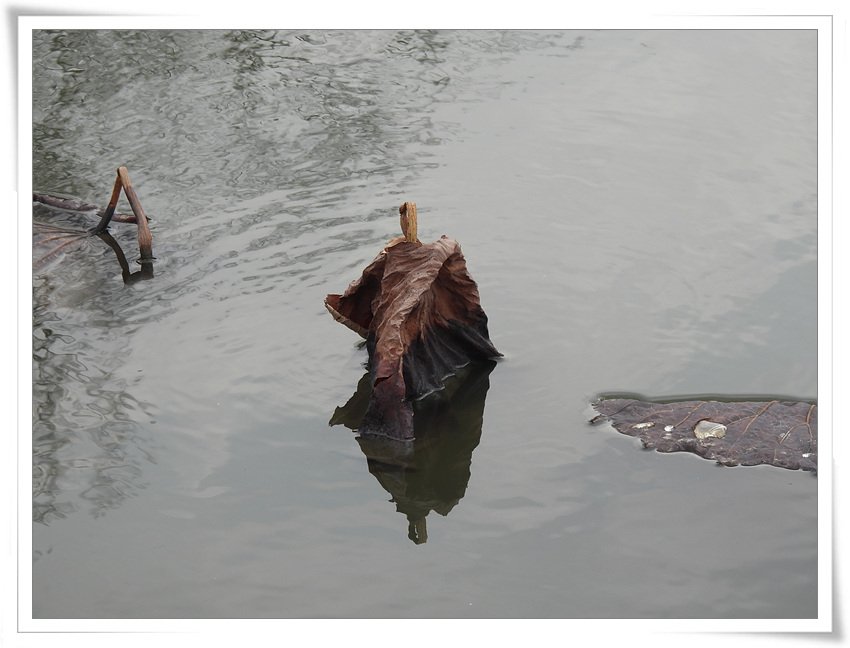 DSCN6766.jpg : 겨울의 끝자락