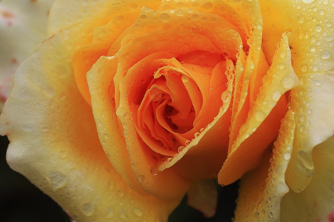 [크기변환]399A1206-0.jpg : 정모숙제