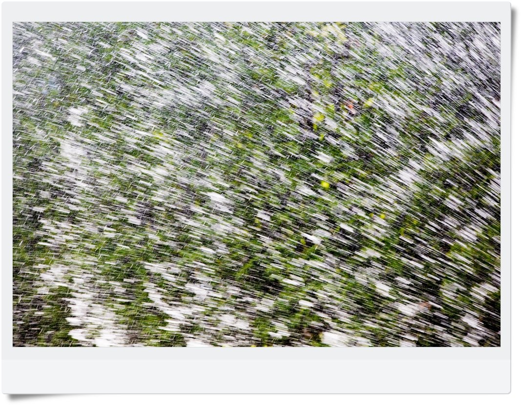 CHW_6976.jpg : 슬슬 더워지네요~