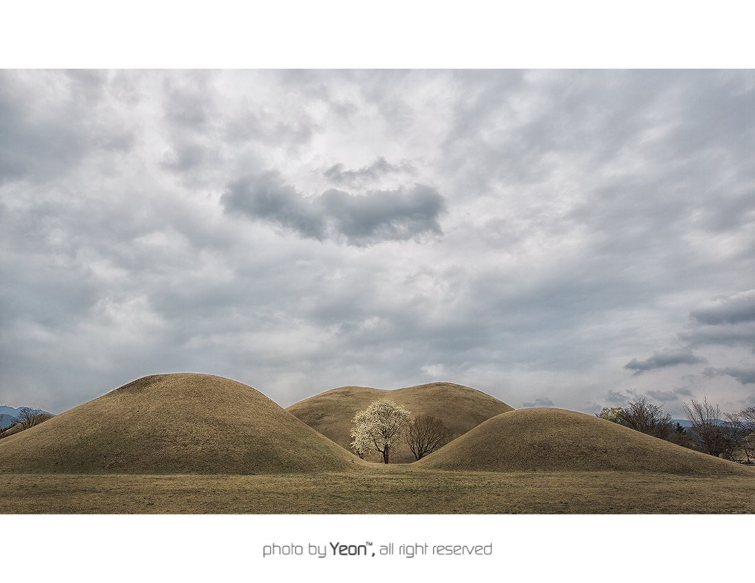 대릉원-1-Web.jpg : 경주 대릉원...