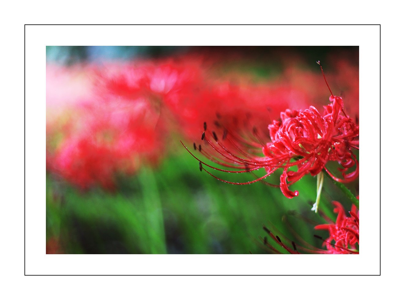 IMG_7834-3.JPG : 가을을 눈에 담던 화려했던 그날...