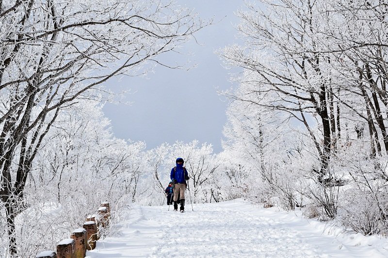 DSC_0280.JPG : 눈꽃세상 함백산