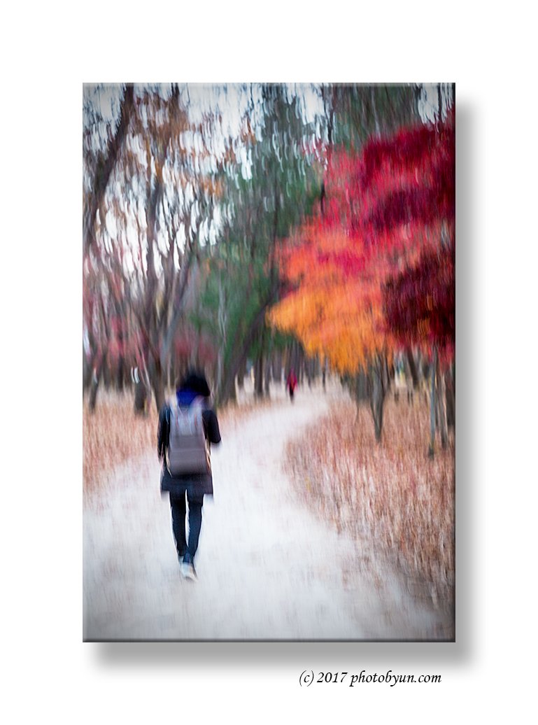 Q23C1542-편집.jpg : 가을 속으로