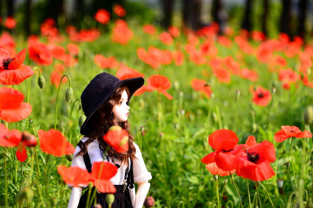 BandPhoto_13829405377.jpg : 이쁜 모델 BandPhoto_13829405377.jpg : 이쁜 모델