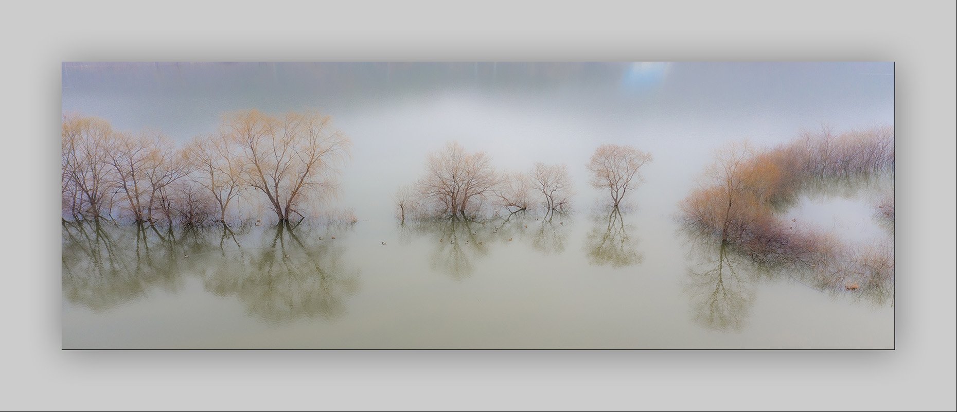 DJI_0497.jpg : 오늘 출근길에....