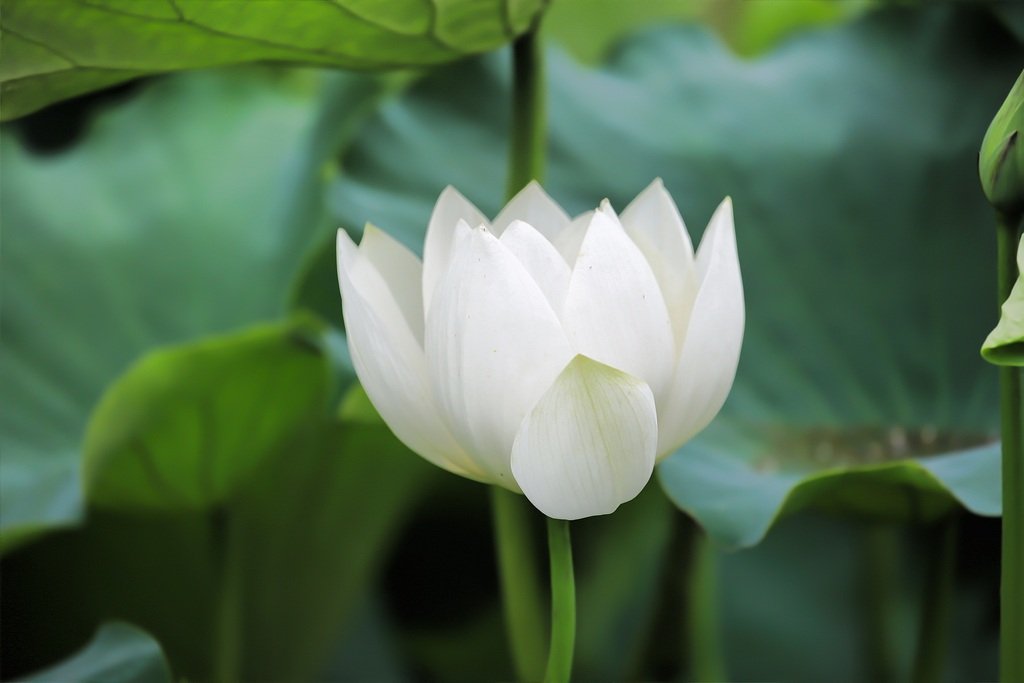 5K5A7858-20200626.jpg : 시민농장