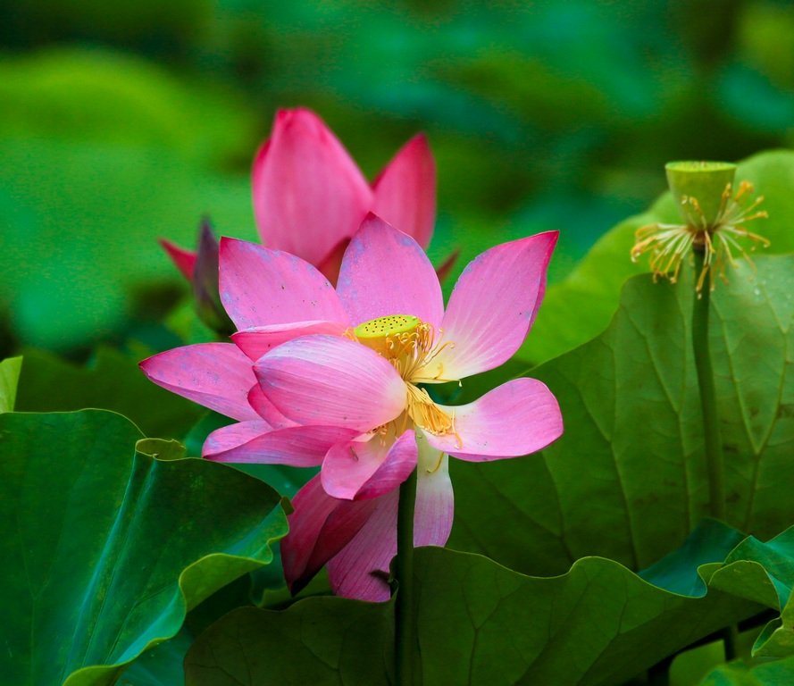 5K5A7827-20200626.jpg : 시민농장