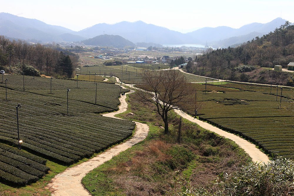 IMG_0209-.jpg : 정모 IMG_0209-.jpg : 정모