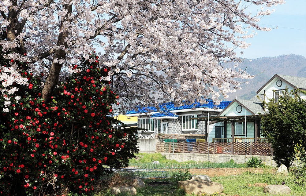 IMG_0183-.jpg : 정모 IMG_0183-.jpg : 정모