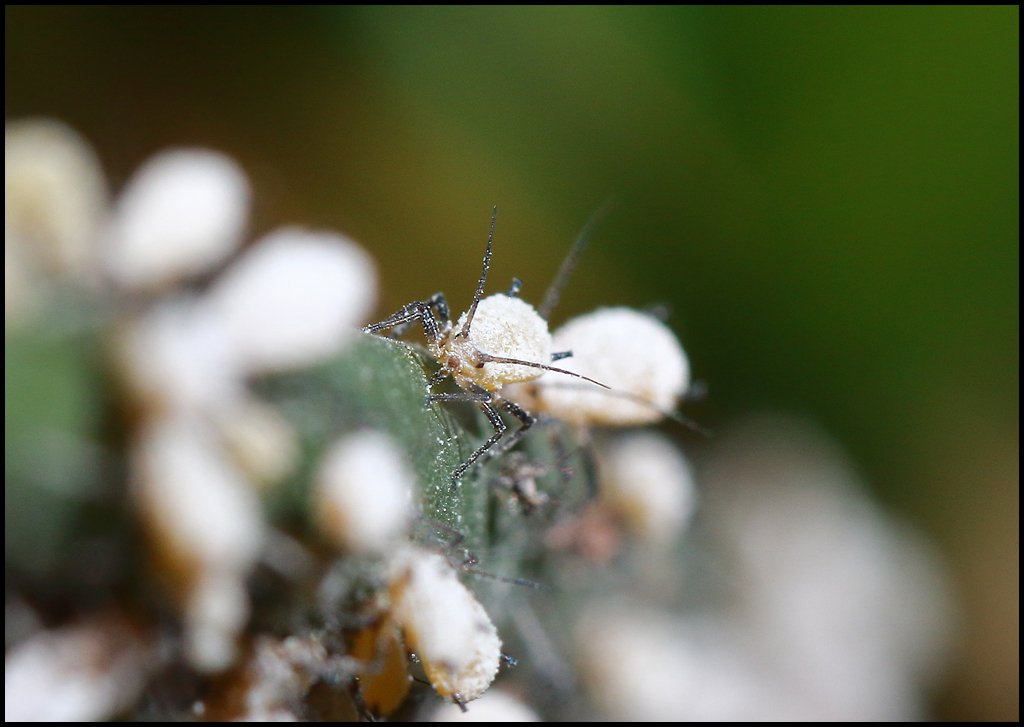 8D1A4321.jpg : 방콕...