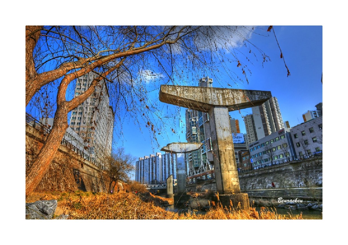 철8.jpg : 철거다리 추억