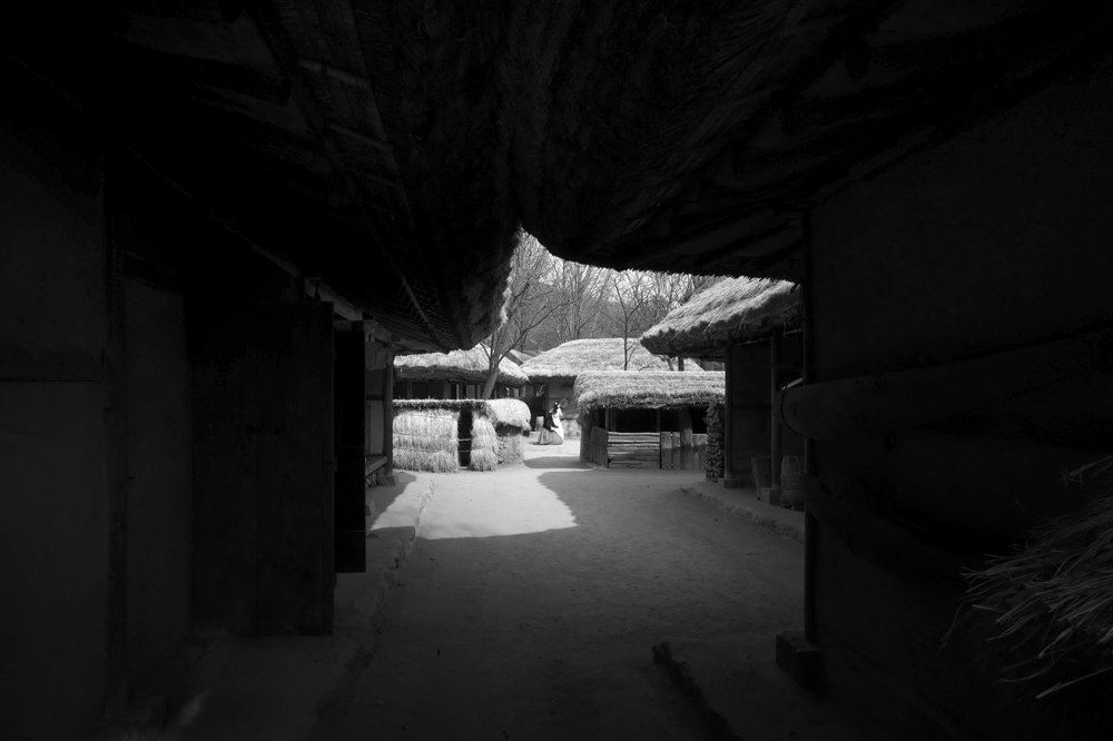 L1018016.JPG : 초가