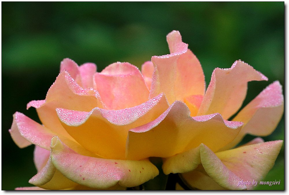 00000278.jpg : 6월 정모숙제