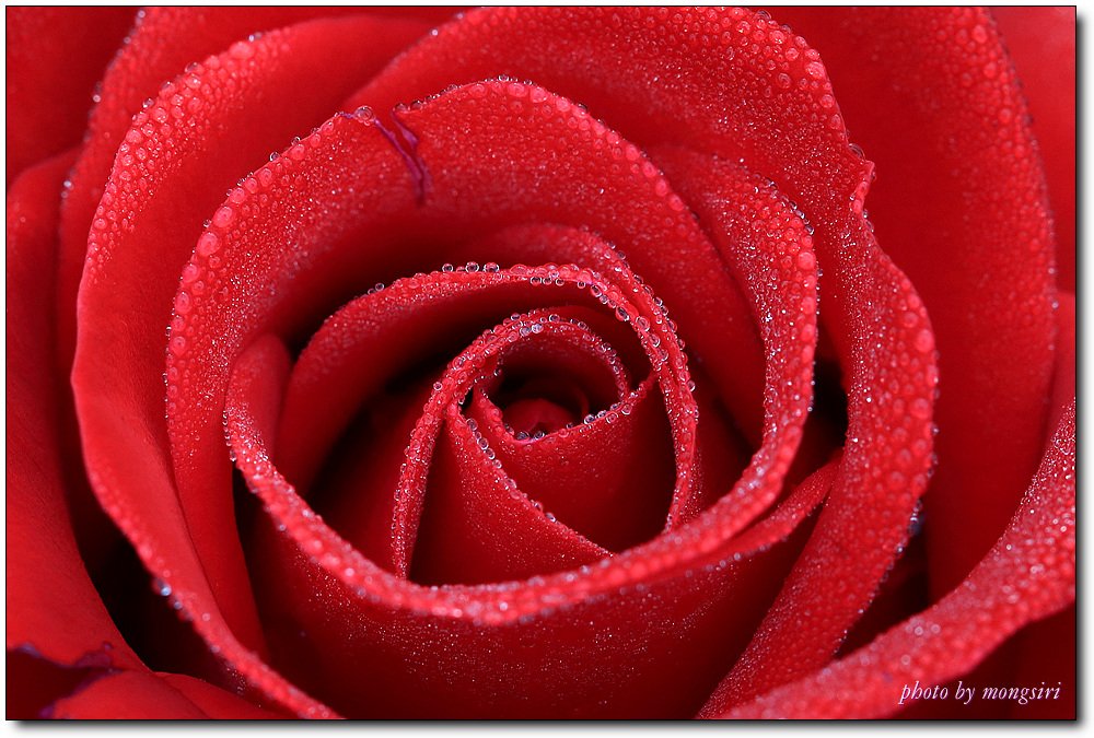 00000259.jpg : 6월 정모숙제