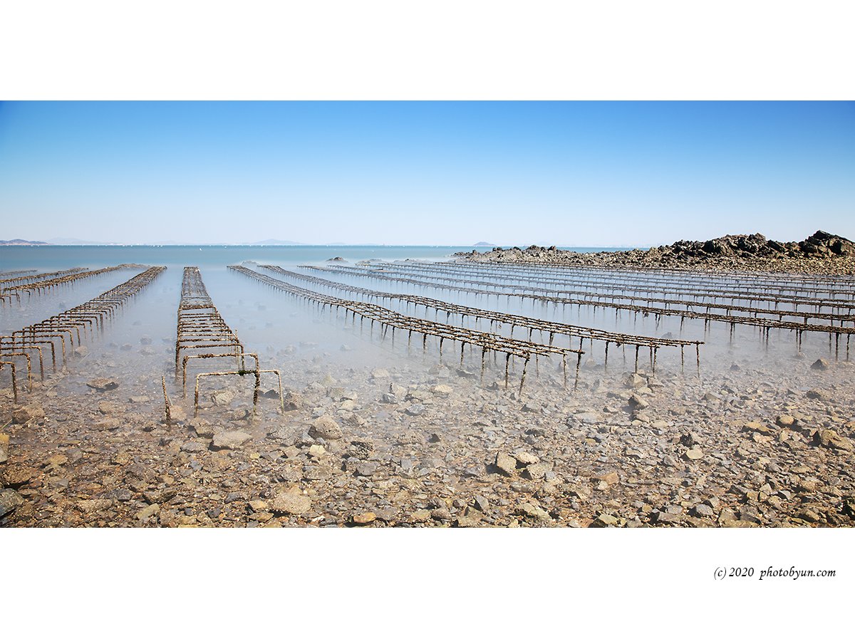 649A3449-편집.jpg : 미역양식장