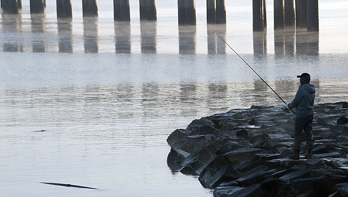 DSC_2928-삽교.jpg : 열정