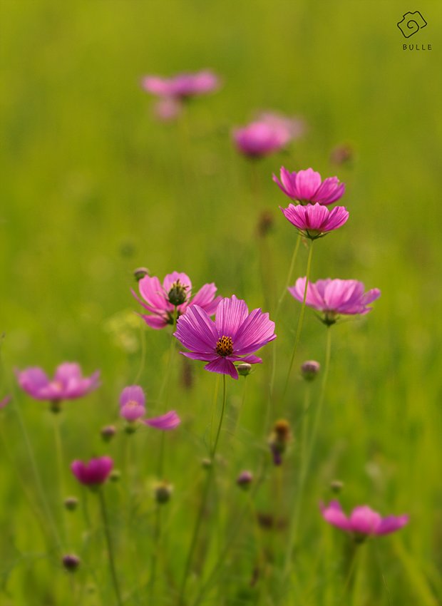 CE3A3687-3resize.jpg : 당수동3