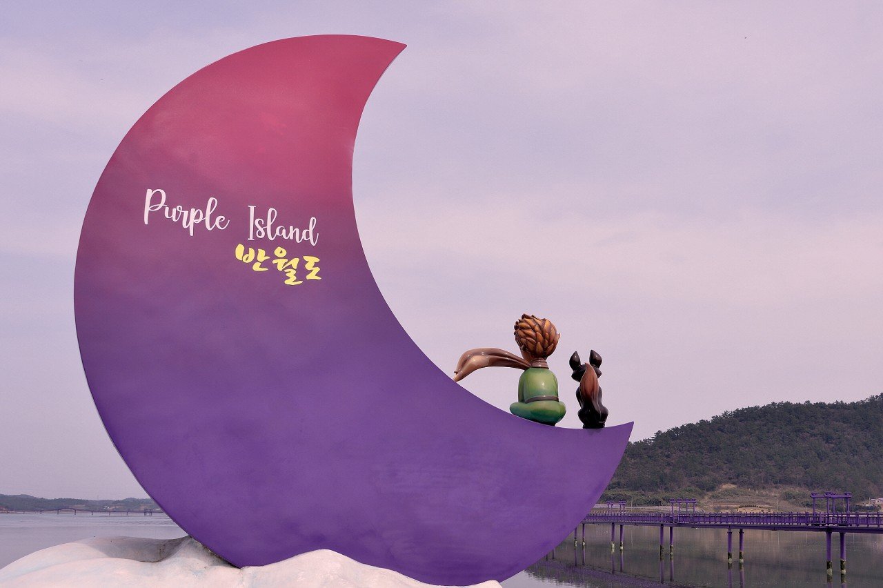 BandPhoto_28489279441.jpg : 신안 퍼플도