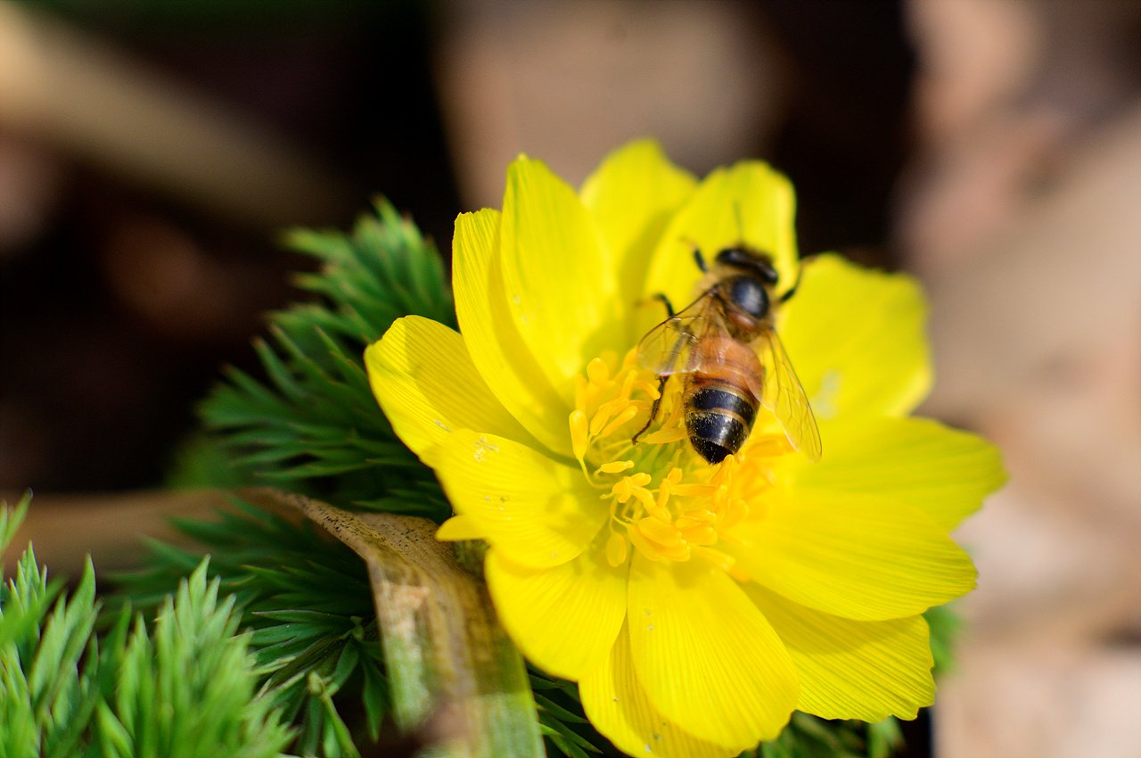 _DSC2676.jpg : 신구대 식물원 2탄