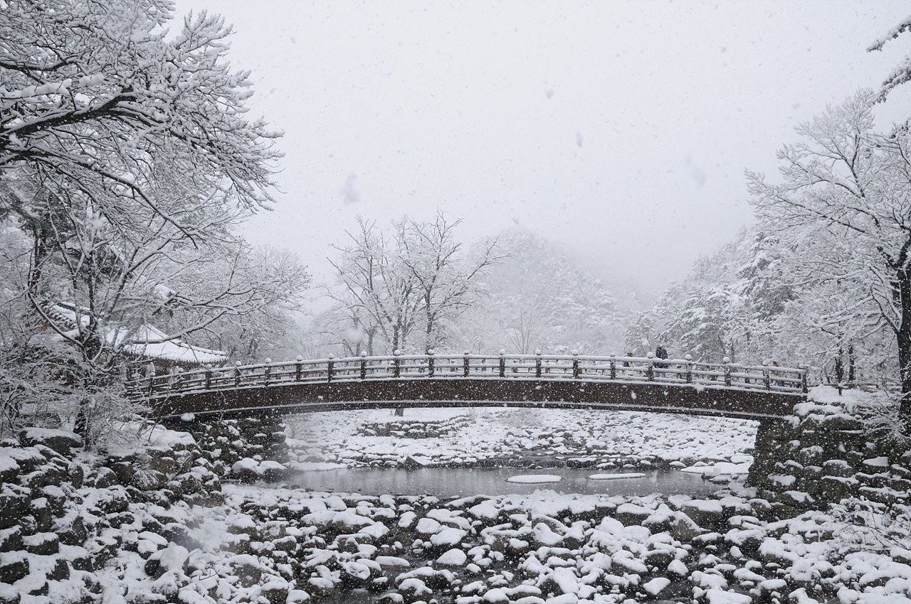 _DSC5431.jpg : 민족명절 설 잘 보내고 오시기 바랍니다