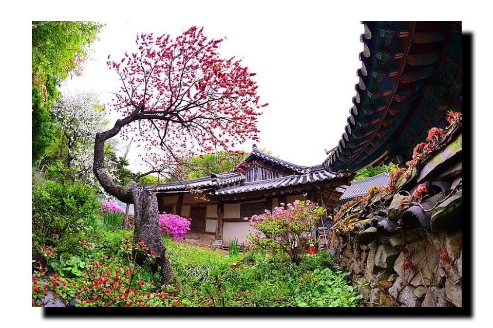 IMG_20190428_213203.jpg : 개심사 IMG_20190428_213203.jpg : 개심사