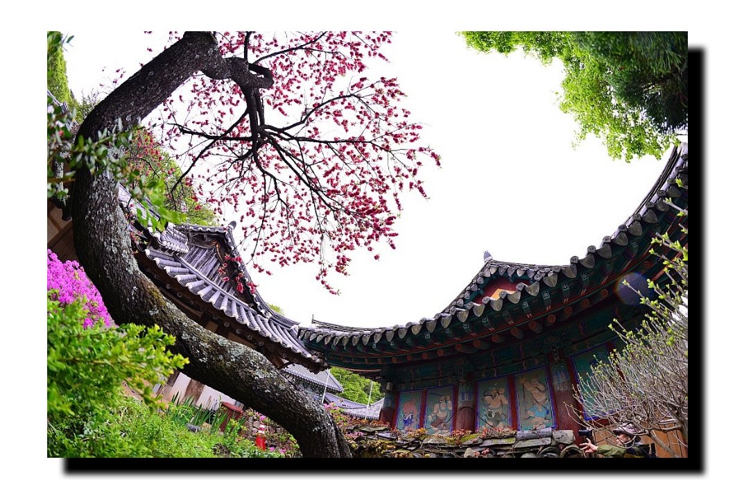 IMG_20190428_212957.jpg : 개심사 IMG_20190428_212957.jpg : 개심사