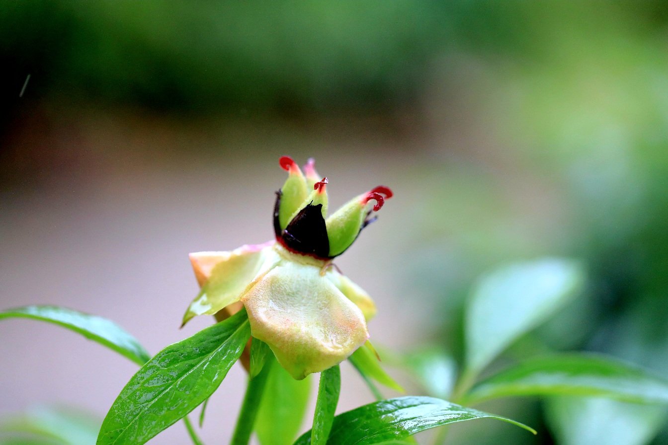 979A4621.JPG : 5월정모