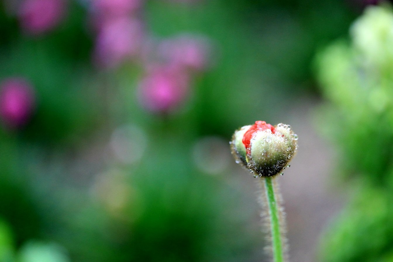 979A4642.JPG : 5월정모