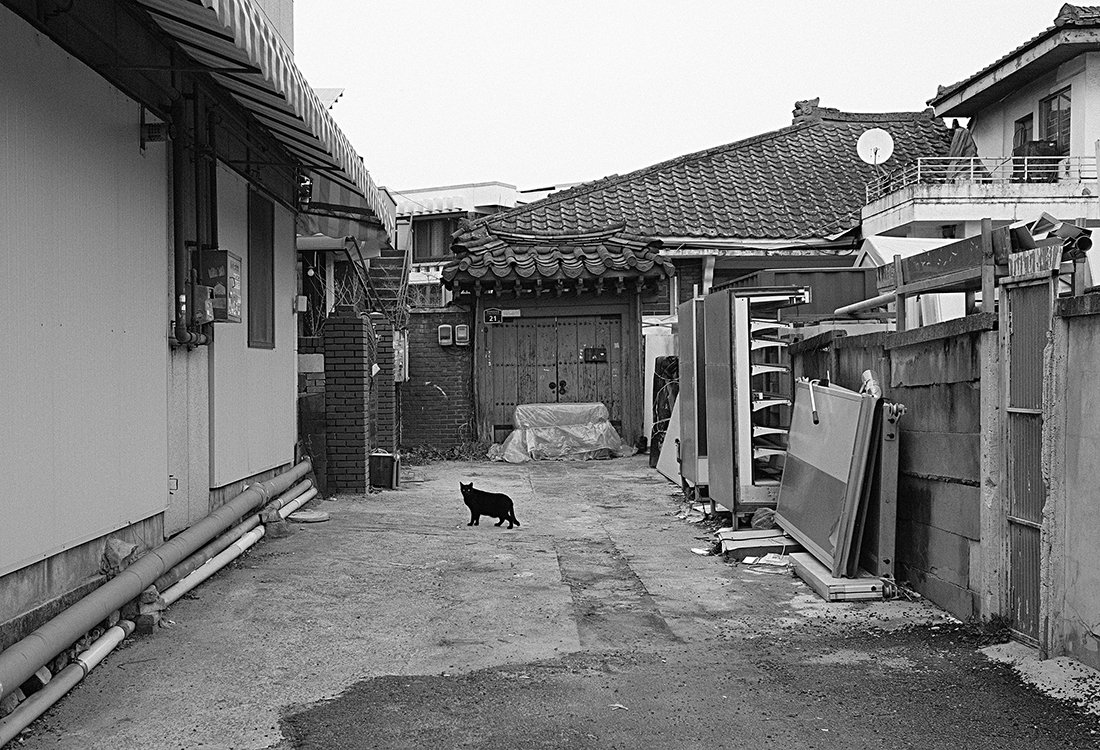 DSCF0311-동네.jpg : 동네 한바퀴