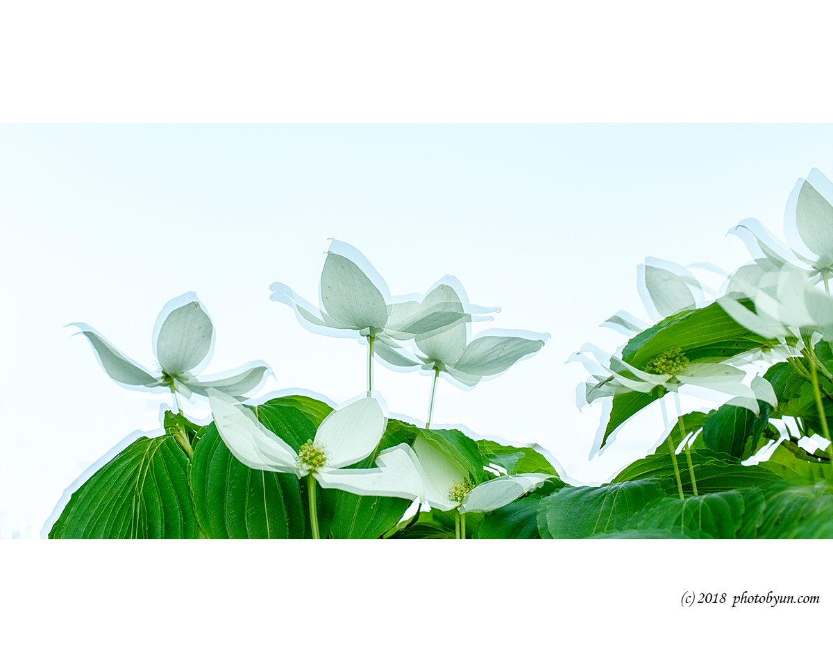 181A0523-편집.jpg : 정모숙제