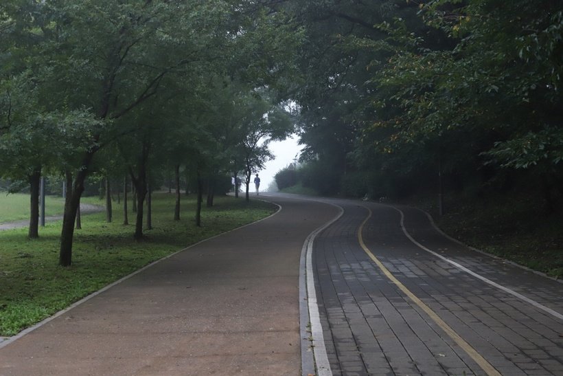 IMG_8900.JPG : 안개 낀 아침