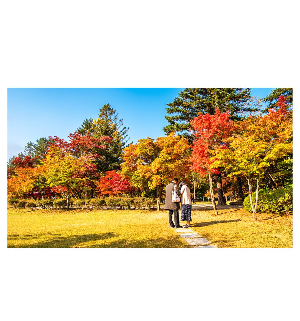 DSC_7301.jpg : 내 님은 어디에 있나 ~