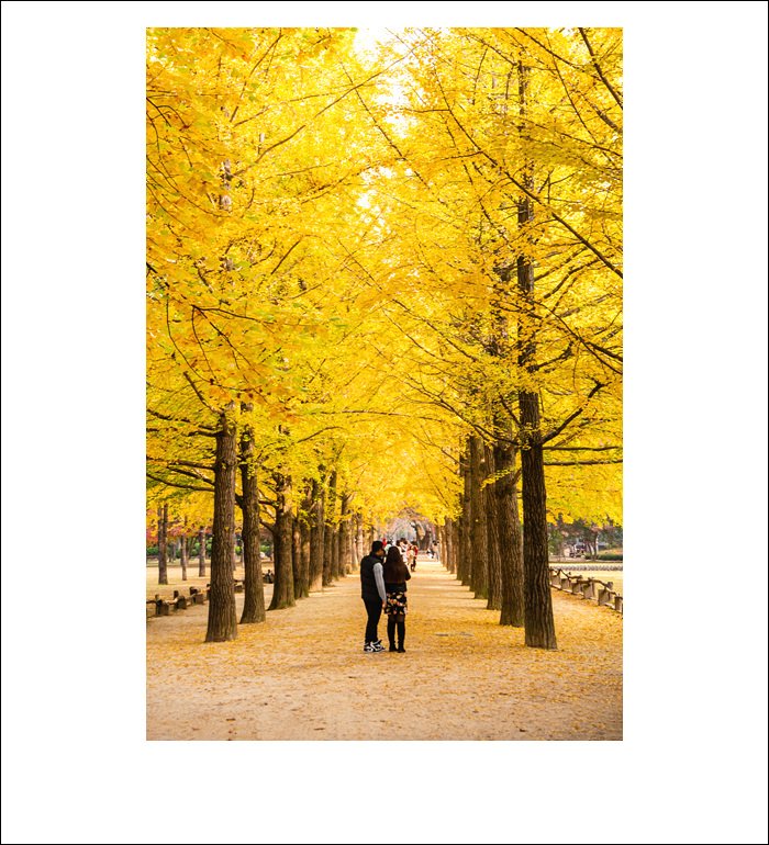 DSC_7207.jpg : 내 님은 어디에 있나 ~