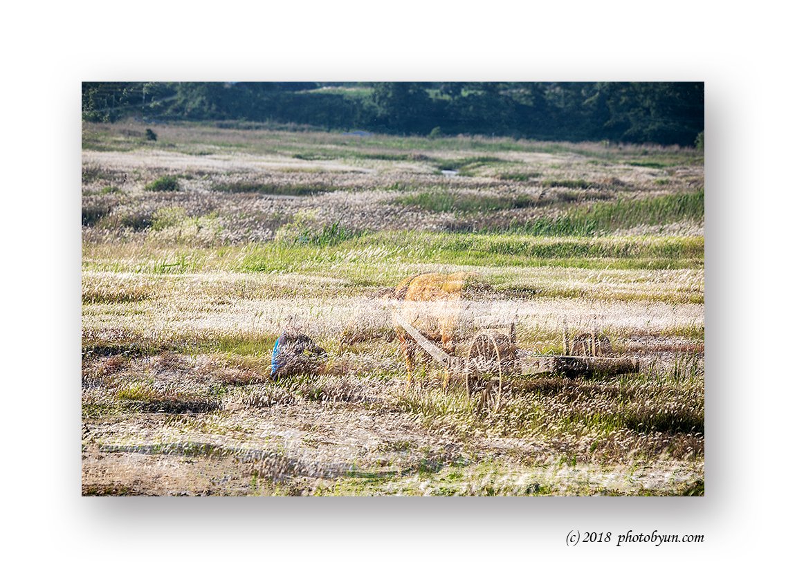 649A5239-편집.jpg : 회상