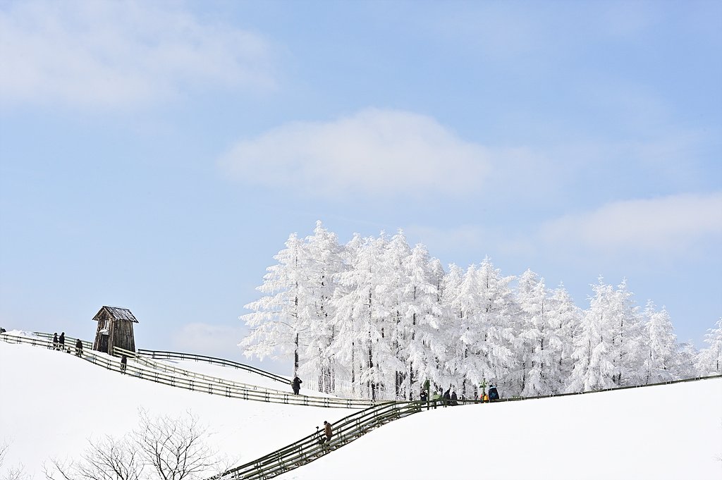 _DSC3812_00001_02.jpg : 양떼목장 다녀왔습니다