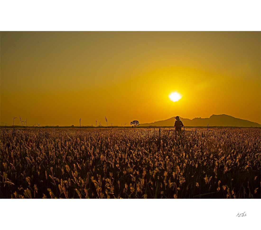 2M3A6562.jpg : 수섬 번개 숙제^^