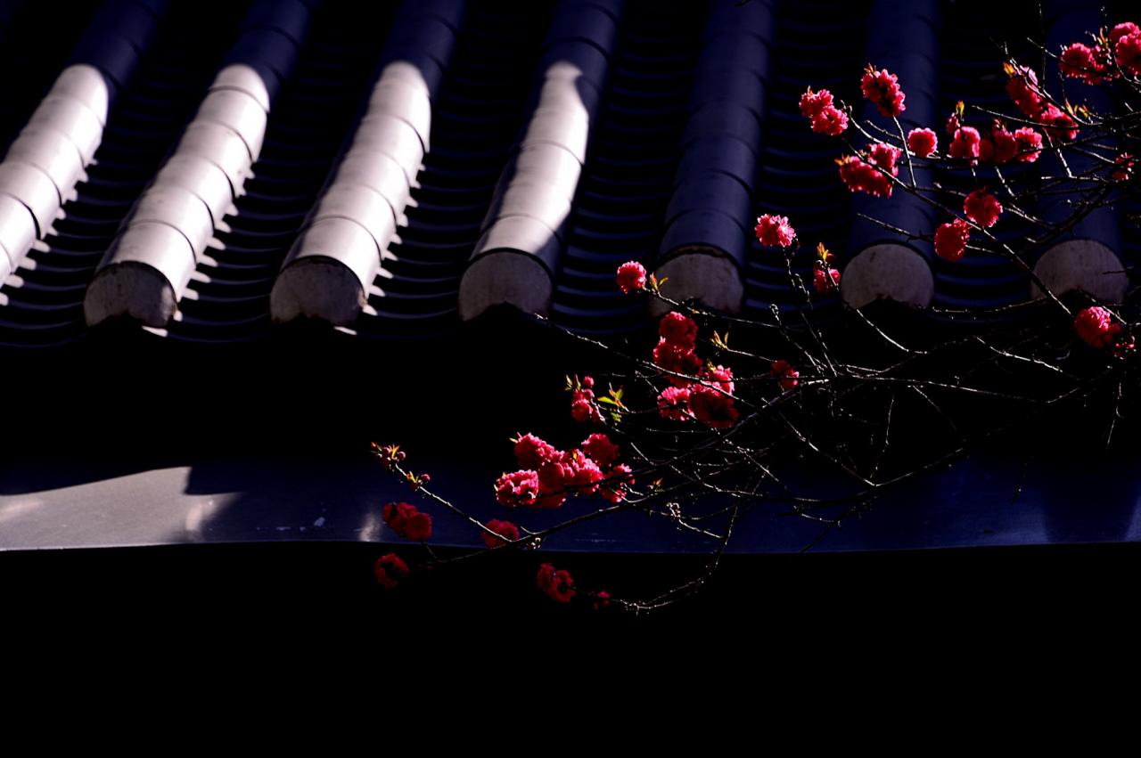 BandPhoto_8745776045.jpg : 개심사 정모 BandPhoto_8745776045.jpg : 개심사 정모