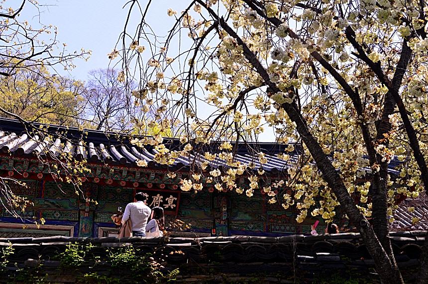 BandPhoto_8745776146.jpg : 개심사 정모 BandPhoto_8745776146.jpg : 개심사 정모