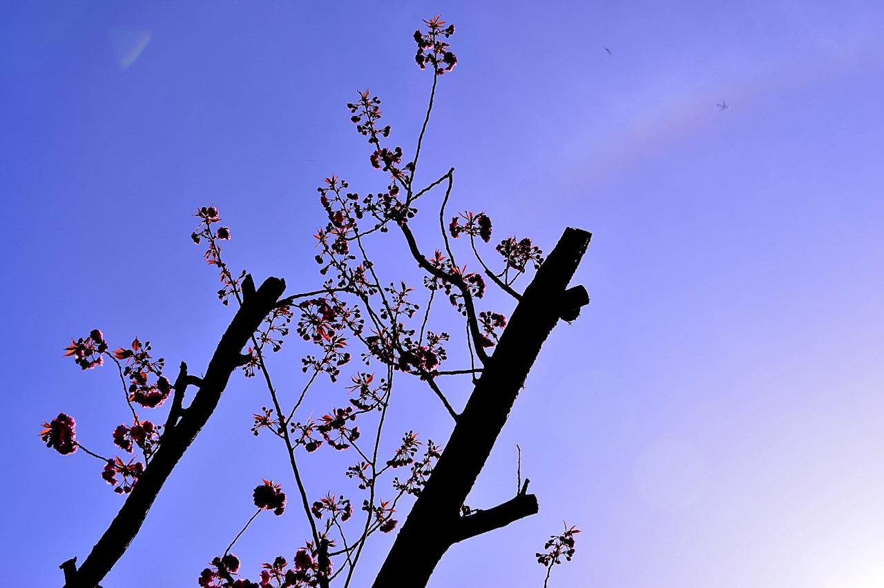 BandPhoto_8745776138.jpg : 개심사 정모 BandPhoto_8745776138.jpg : 개심사 정모