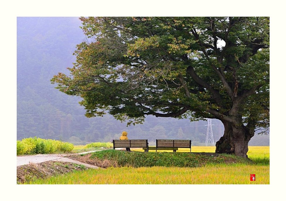 IMG_20171004_102815.jpg : 가을오는 소리