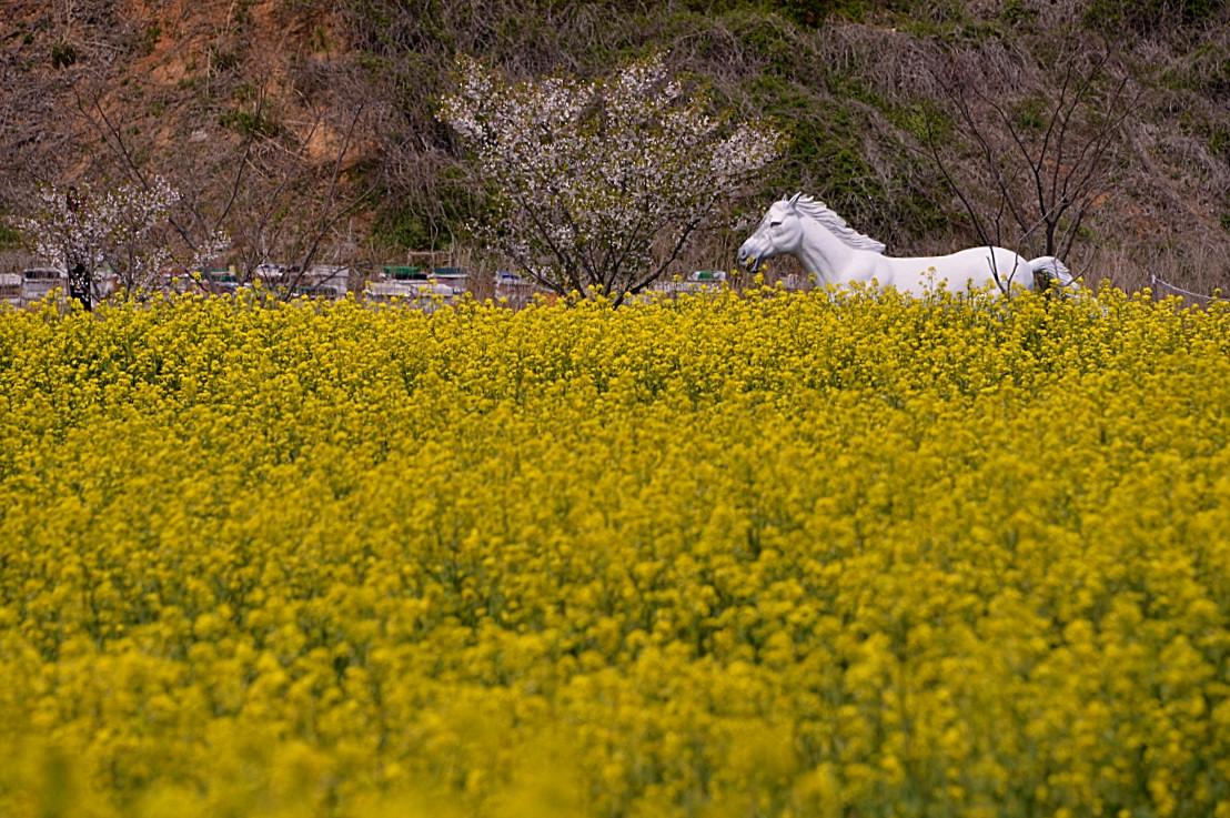 BandPhoto_8745817968.jpg : 간월암ㅡ정모