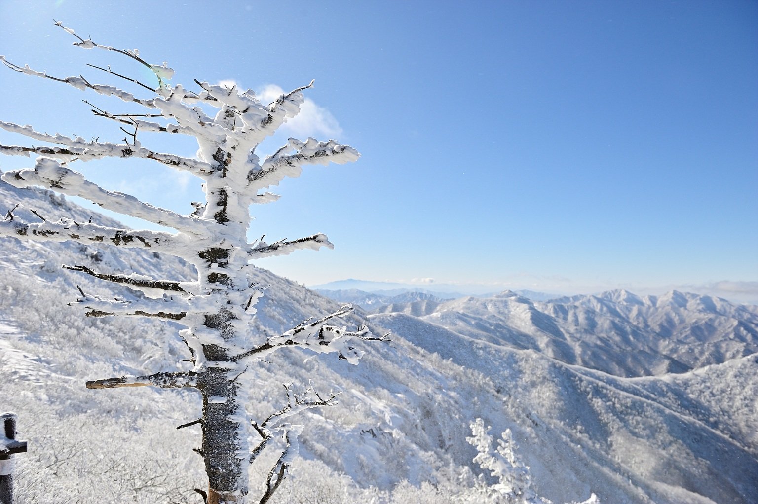 _DSC8449_1.jpg : 그리운 덕유산